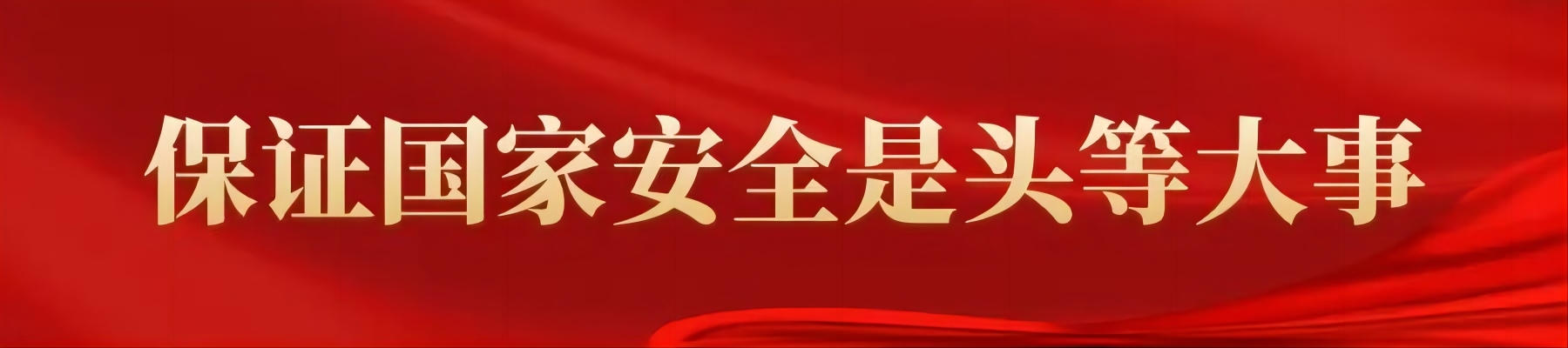 2024总体国家安全观宣传手册