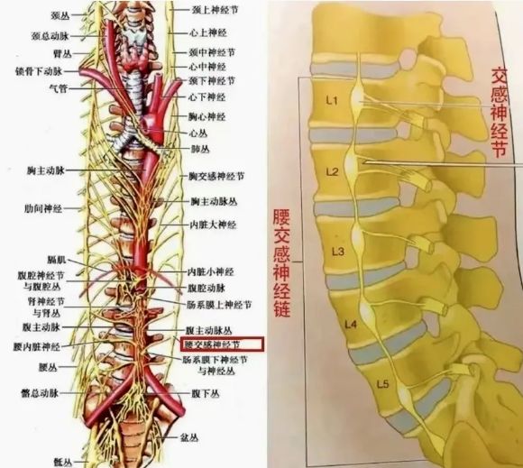 我院疼痛科成功开展超声引导下腰交感神经阻滞镇痛术和CT引导下腰交感神经射频毁损术